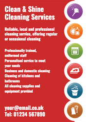 household cleaning leaflets